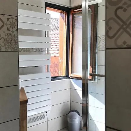 La Petite Venise Apartament Colmar