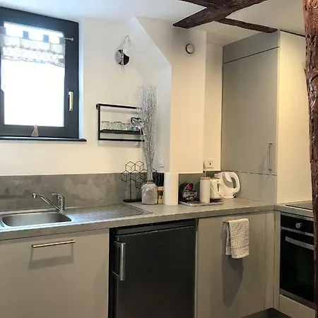 La Petite Venise Apartament Colmar