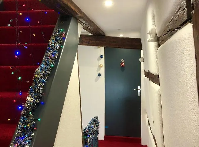 La Petite Venise Apartment Colmar